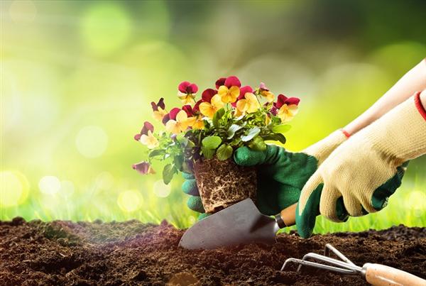 Want Help With Gardening? Try These Ideas